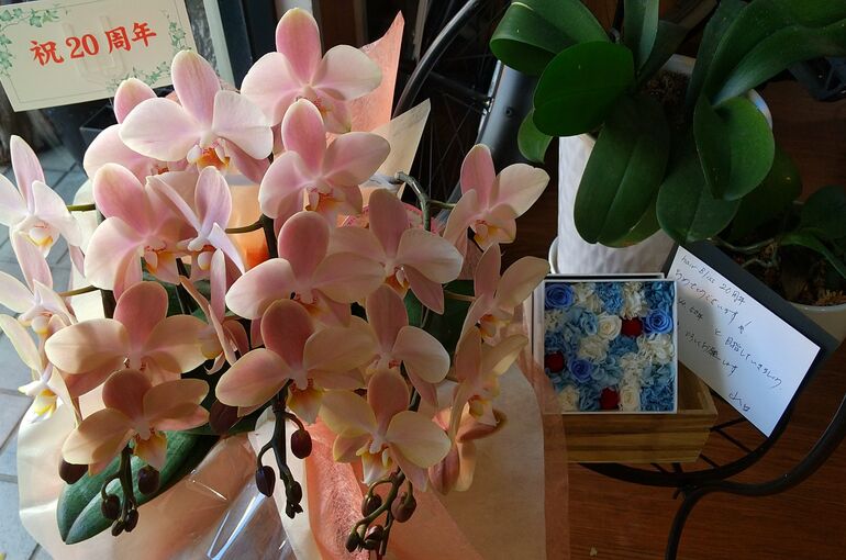 DSC_0125_copy_1920x1080