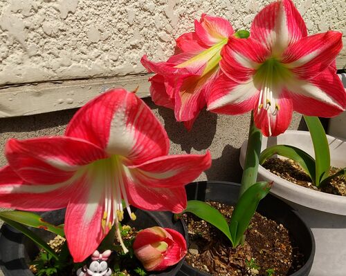 DSC_0202_copy_1920x1080