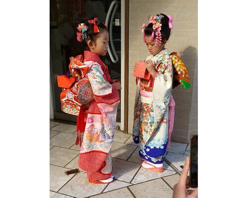 DSC_0343~2_copy_772x1032